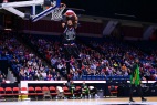 DSC_5292_Credit_Harlem Globetrotters.jpg