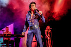 06_Pressefoto_The_Musica_Story_of_Elvis_live_2025_c_NicoDeeg.jpg